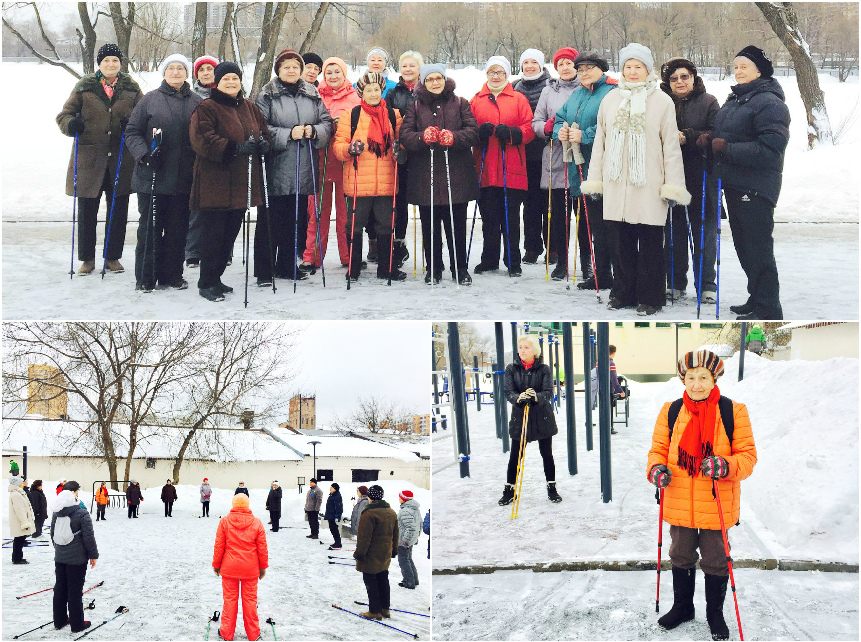 28 января 2017 - Занятия по скандинавской ходьбе